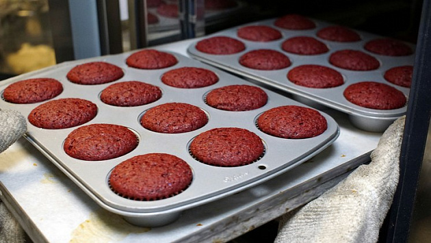 За растрату денег на создание кондитерской бердчанку осудили на полтора года