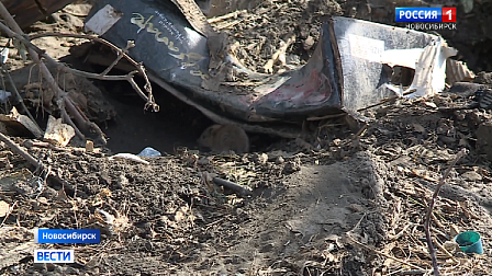 Жители Новосибирска пожаловались на крысиные гнёзда рядом с домами