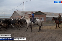 Больше двух миллионов тонн зерна заготовили в новосибирской области
