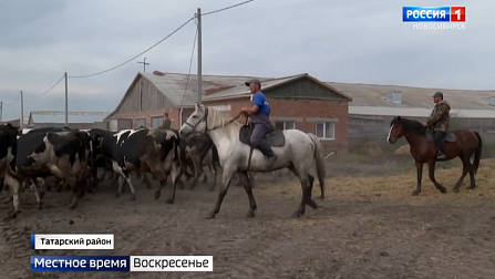 Больше двух миллионов тонн зерна заготовили в новосибирской области