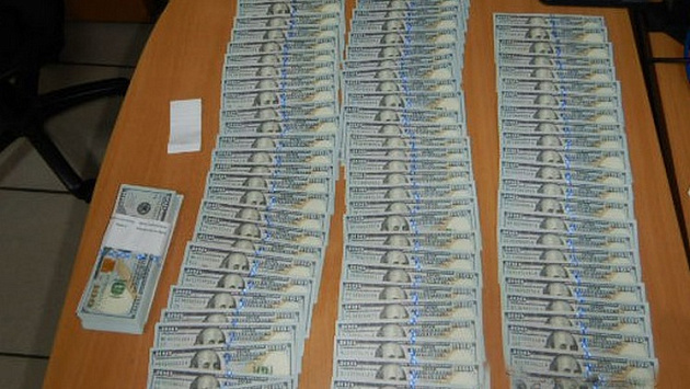 Кодилак помог новосибирским таможенникам найти у пассажира 20 тысяч долларов