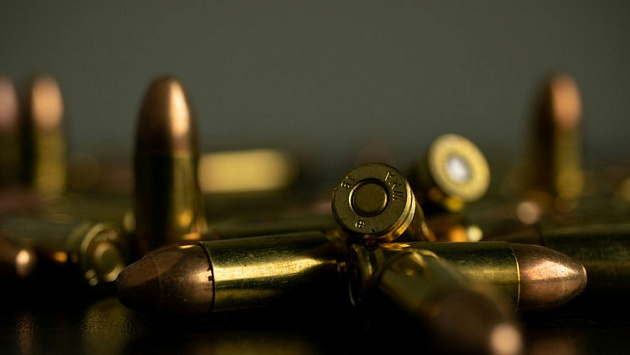 Новосибирца осудили за изготовление патронов к охотничьему ружью