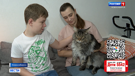 ВЕСТИ Новосибирск