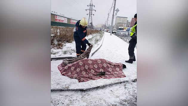 В Новосибирске смерть водителя грузовика стала причиной ДТП 