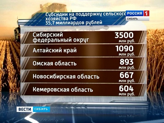 Новосибирская область получит 667 млн рублей на поддержку сельского хозяйства