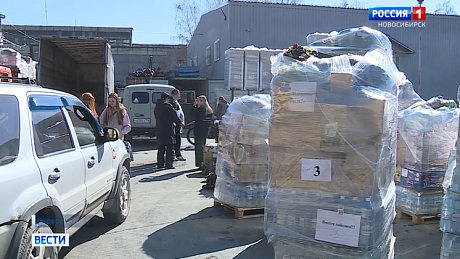 ВЕСТИ Новосибирск