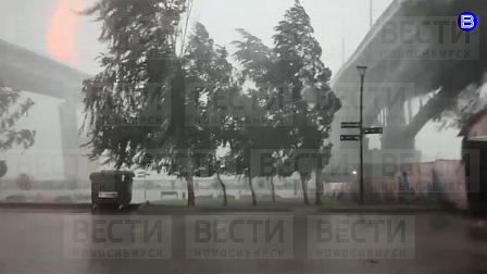 В Новосибирске приступили к устранению последствий от штормового шквала 17 июля