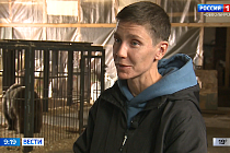 Зооволонтеры рассказали о своей работе в Новосибирске