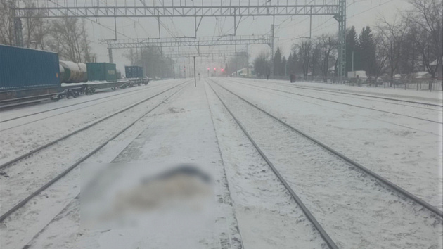 Новосибирская пенсионерка поскользнулась на путях и попала под поезд 
