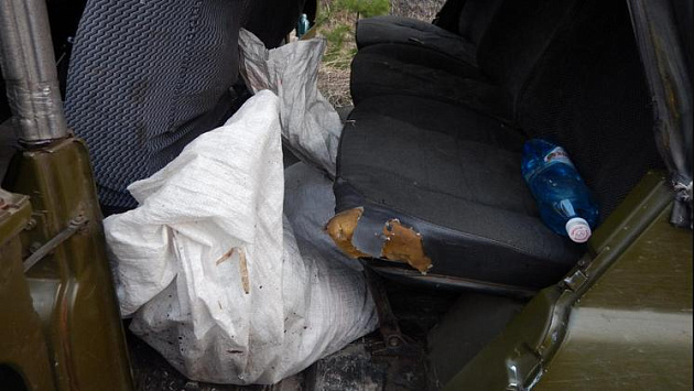 В Новосибирской области браконьер незаконно убил лося 