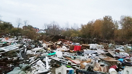 Новосибирская прокуратура потребовала ликвидировать гигантскую свалку рядом с Сосновым бором
