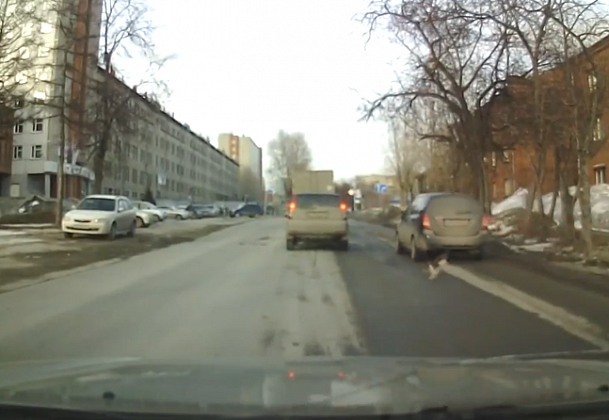 Чудесное спасение кошки из-под машины попало на видео