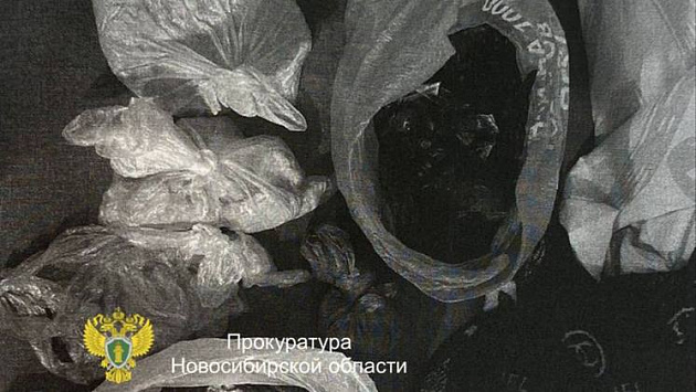 В Новосибирске поймали драгдилера с двумя килограммами героина