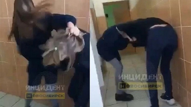 В Новосибирске власти проверят инцидент с избиением школьницы