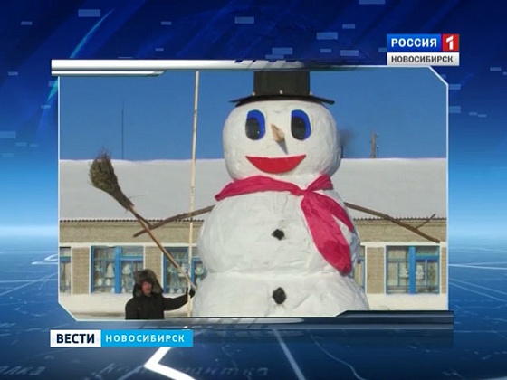 В Новосибирской области подвели итог конкурса снеговиков