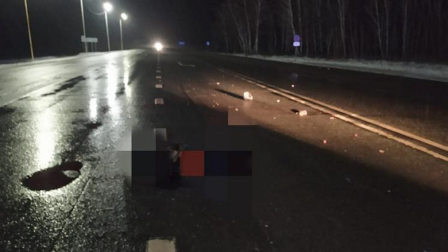 В Новосибирской области автомобилист сбил насмерть пешехода и скрылся с места ДТП