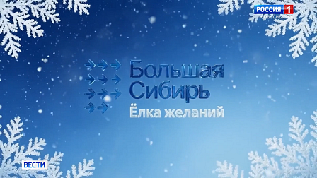 В Новосибирске стартовала благотворительная акция «Ёлка желаний»