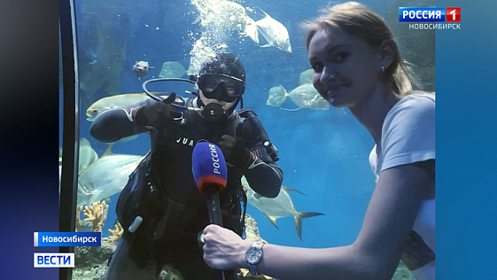 Обитатели новосибирского океанариума готовятся к Дельфинийским играм