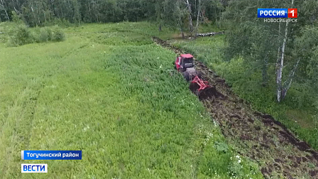Ревизию заброшенных земель со спорным статусом проводят в Новосибирской области