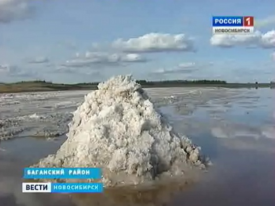 У жителей Баганского района есть уникальная возможность добыть соль, а не покупать ее в магазине