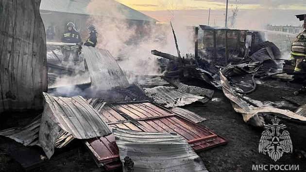Под Новосибирском пожарные спасли из горящего дома мужчину-инвалида