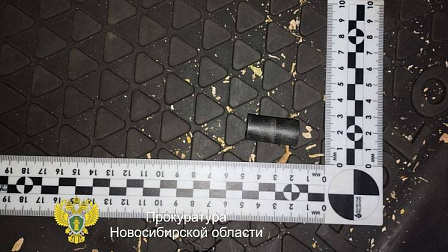 Новосибирский суд приговорил двух разбойников к колонии за угон автомобиля