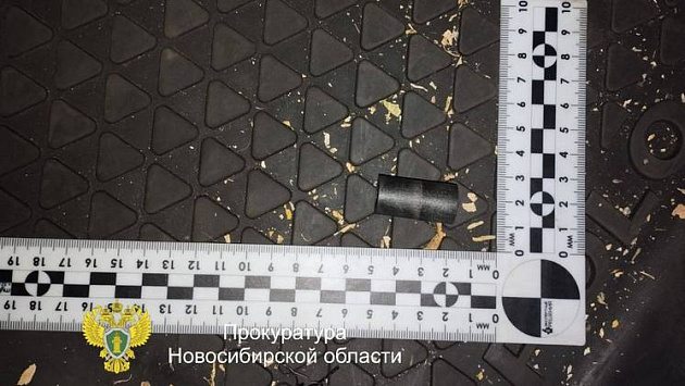 Новосибирский суд приговорил двух разбойников к колонии за угон автомобиля
