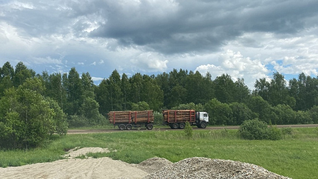 В Новосибирской области лесовозы проигнорировали запрет на проезд по разбитой ими дороге