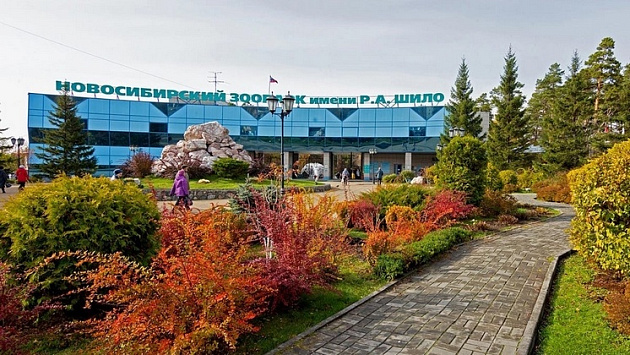 Новосибирский зоопарк сделал бесплатным посещение для мобилизованных граждан и их семей