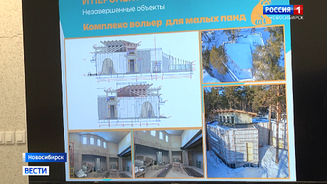 ВЕСТИ Новосибирск