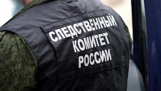 Глава СКР раскритиковал приговор участникам смертельного сопротивления полицейским под Новосибирском
