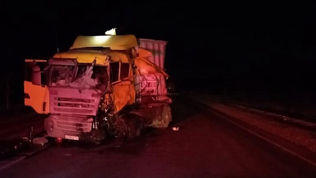 61-летний мужчина погиб при столкновении двух грузовиков в Новосибирской области