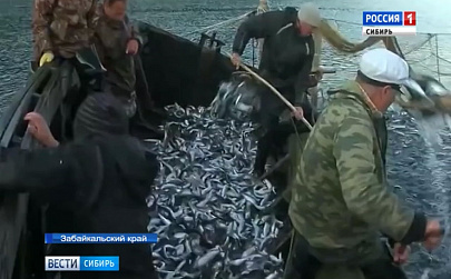 запрет ловли рыбы на байкале. популяции байкальского омуля. байкальский омуль браконьеры. охрана омуля. карта озер для рыбалки.