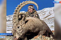 Убившая козерога ради фото в инстаграм охотница возмутила жителей Республики Алтай