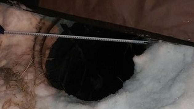 Девятилетний мальчик провалился в открытый канализационный люк в Новосибирске