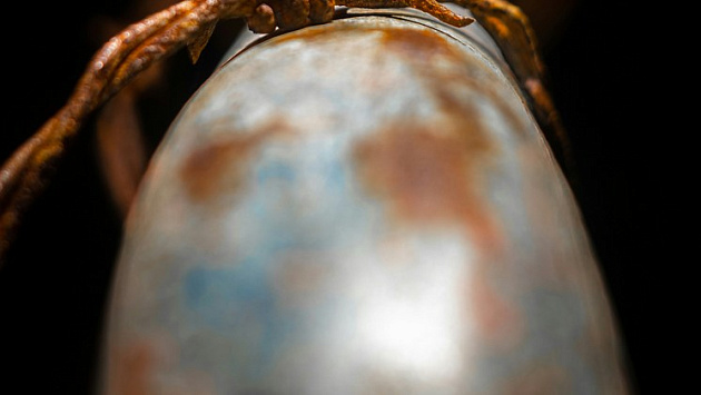 Под Новосибирском коммунальщики возместили многотысячный ущерб от потопа в доме