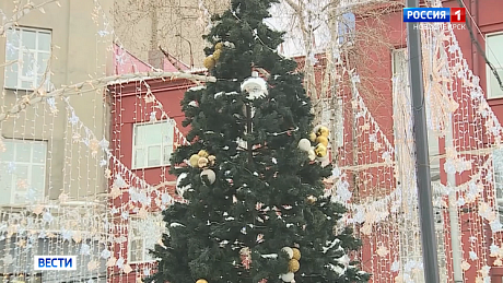 ВЕСТИ Новосибирск