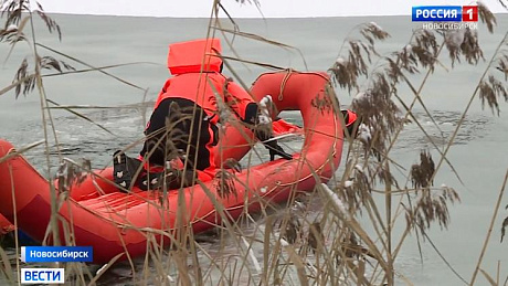 ВЕСТИ Новосибирск