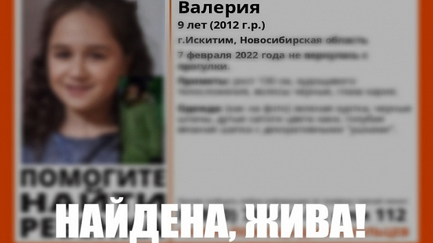 Пропавшую под Новосибирском 9-летнюю девочку нашли живой