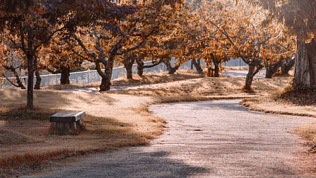 47 проектов по благоустройству сельских территорий профинансируют в Новосибирской области