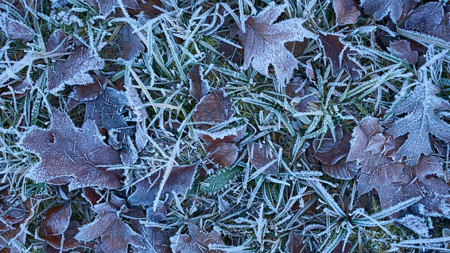 Синоптики предупредили новосибирцев о заморозках до -2 °С 13 сентября