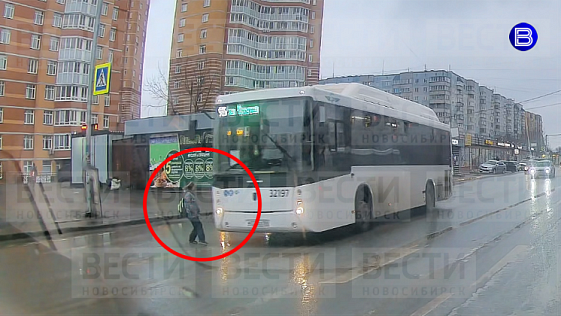 В Новосибирске наказали водителя автобуса за едва не сбитого ребенка на переходе
