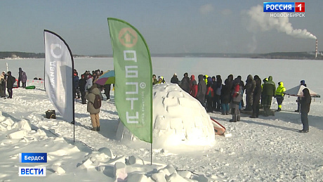 ВЕСТИ Новосибирск