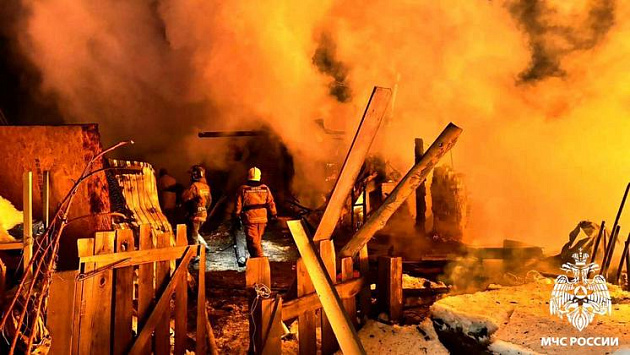 Под Новосибирском спасли 20 куриц и козу во время пожара