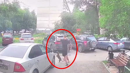 В Новосибирске камера домофона зафиксировала издевательства живодера над своей собакой