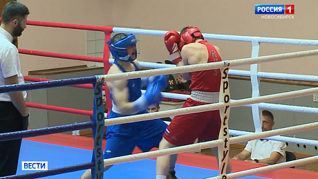 ВЕСТИ Новосибирск