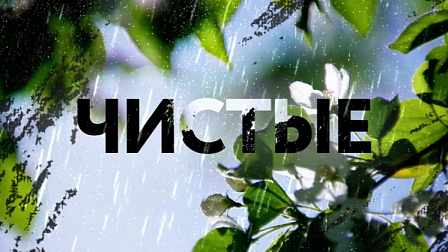 Фильм «Чистые» о Новосибирском областном наркологическом диспансере