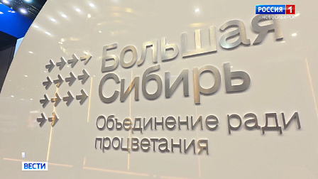 Стенд «Большой Сибири» оценила новосибирская делегация на ПМЭФ-2026