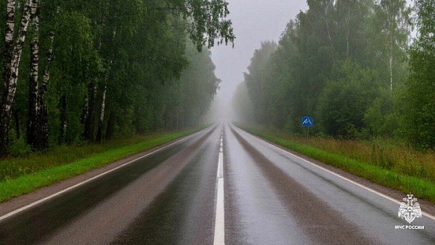 МЧС предупредило новосибирцев об опасности на дорогах из-за тумана