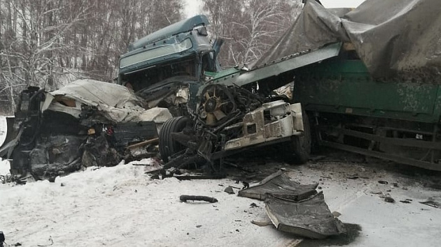 Водитель погиб в столкновении трёх грузовиков в Новосибирской области